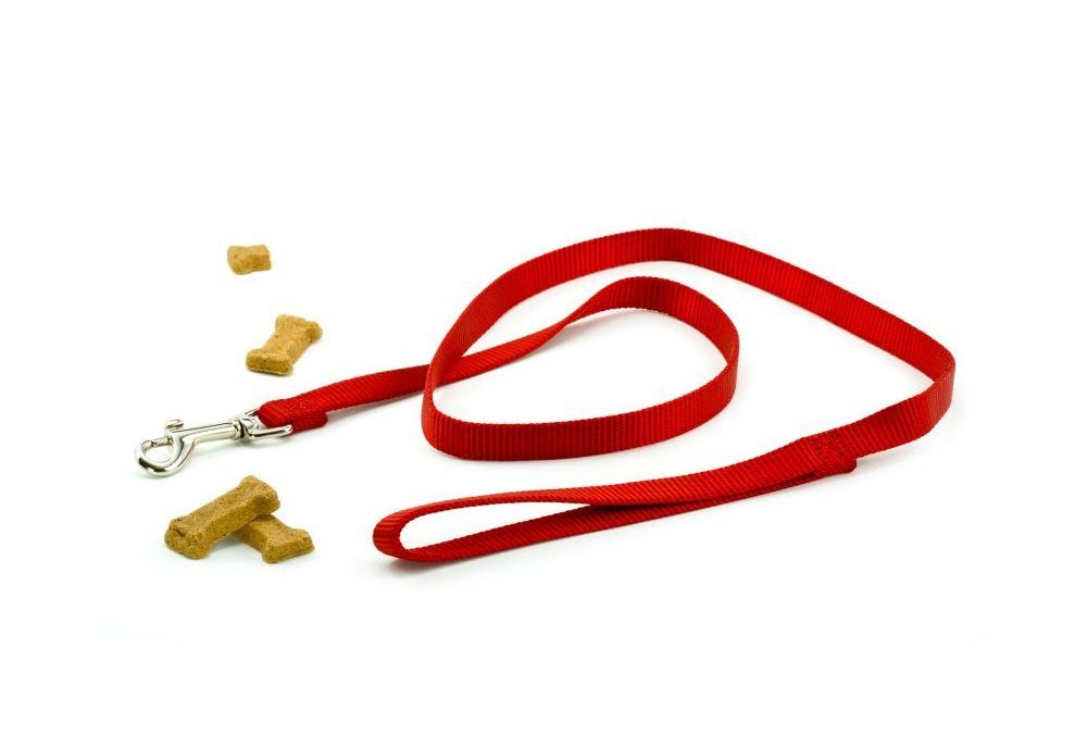 Tired of Boring Promotional Products? Try a Customized Dog Leash