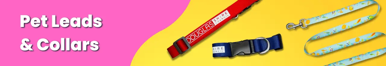 Photos of several pet leads and collars over a bright and colourful background